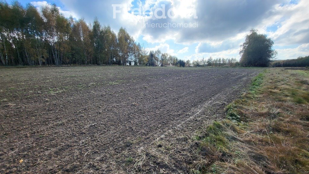 Działka budowlana na sprzedaż Połomia  5 700m2 Foto 7