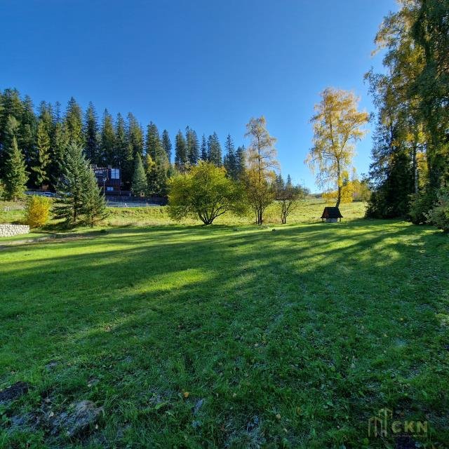 Działka budowlana na sprzedaż Bukowina Tatrzańska, Tatrzańska  4 300m2 Foto 12