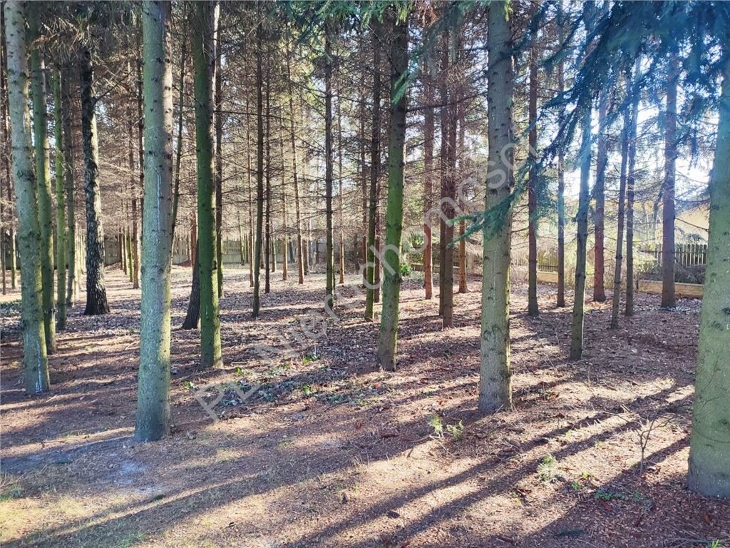 Działka budowlana 1000 m² w spokojnych Jankach z mediami Janki  1 000m2 Foto 1