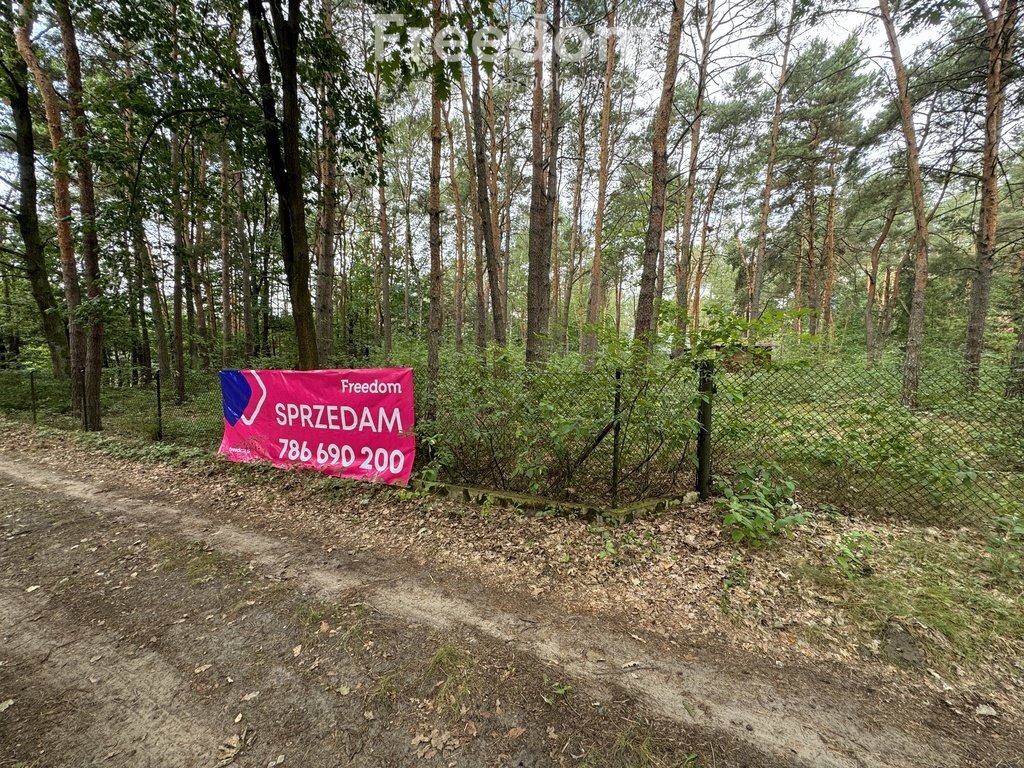 Działka budowlana na sprzedaż Dąbrowa Kozłowska  2 368m2 Foto 19