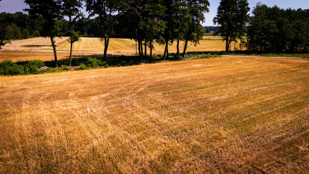 Działka budowlana na sprzedaż Adamów  1 255m2 Foto 11