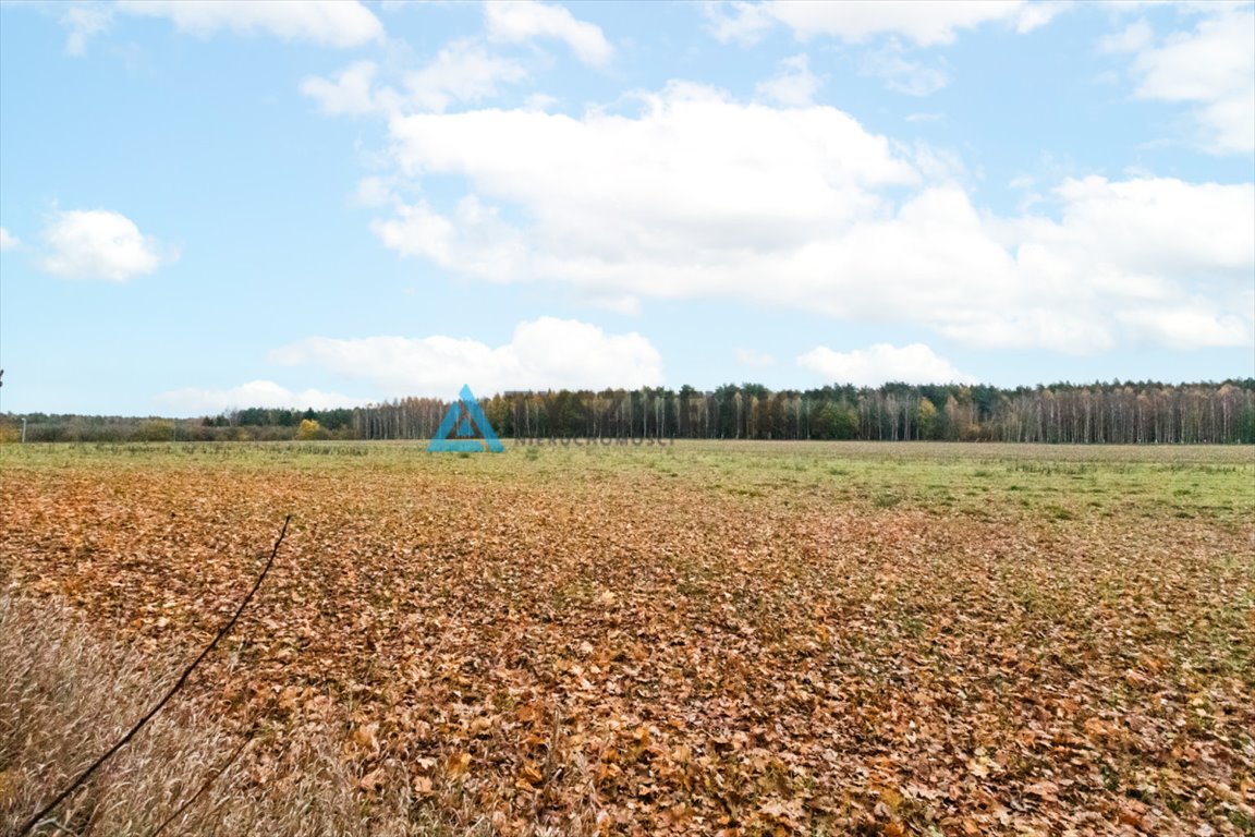 Działka siedliskowa na sprzedaż Szczenurze  3 238m2 Foto 7