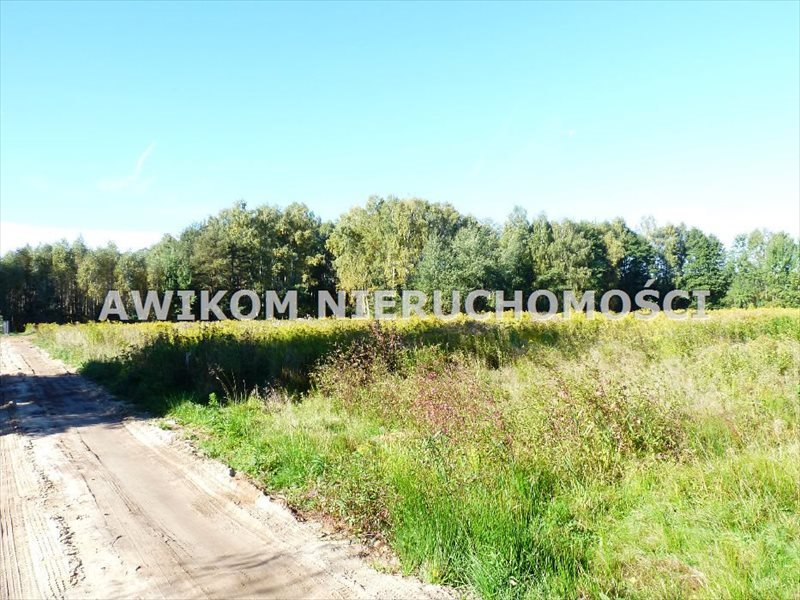 Do sprzedania działka 4200 m² z warunkami zabudowy w Jaktorowie Jaktorów, Stare Budy  4 200m2 Foto 1