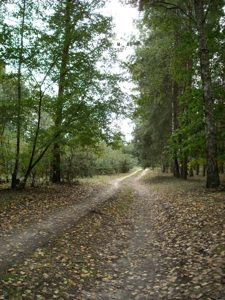 Działka rolna na sprzedaż Trojaczek  23 000m2 Foto 1