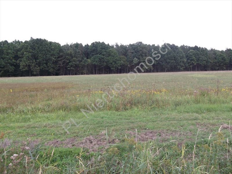Działka rolna na sprzedaż Grzegorzewice 14 683m2 Foto 1 Działka rolna na sprzedaż Grzegorzewice 14 683m2 Foto 1