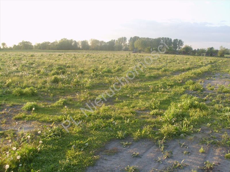 Działka rolna na sprzedaż Holendry Baranowskie  4 669m2 Foto 6