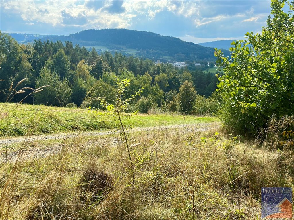 Działka 57 ar z dostępem do asfaltu i planem zagospodarowania. Limanowa, Stara Wieś  5 700m2 Foto 1