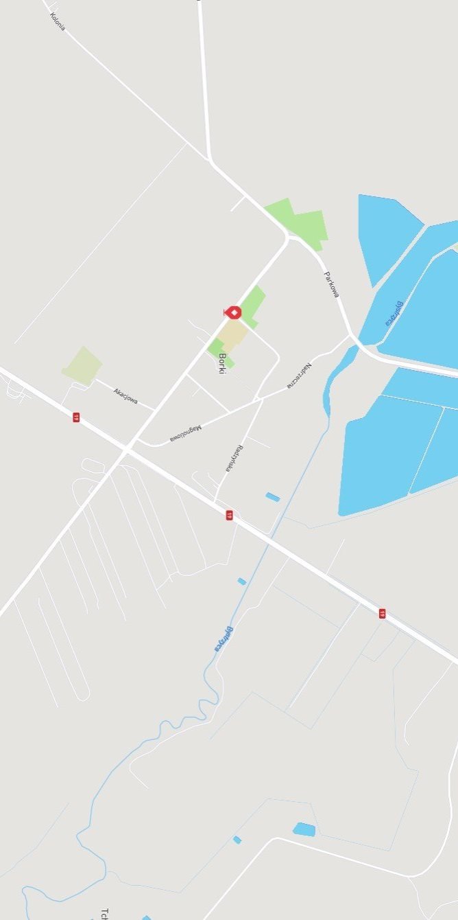 Działka 14 arów z warunkami zabudowy i budynkiem gospodarcym Borki, STARA WIES  1 400m2 Foto 1