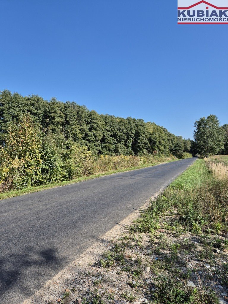 Działka budowlana na sprzedaż Gąba  4 300m2 Foto 2