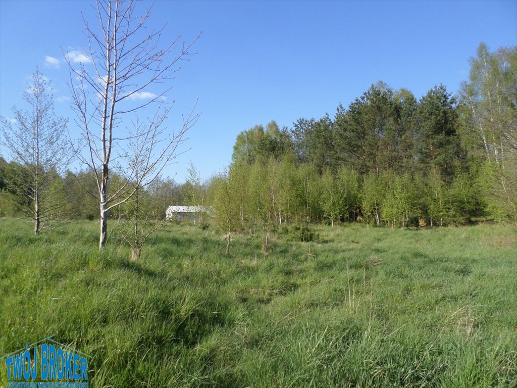Działka rolna 11 900 m² z lasem i strumykiem, Bytów Niezabyszewo, Niezabyszewo  11 900m2 Foto 1