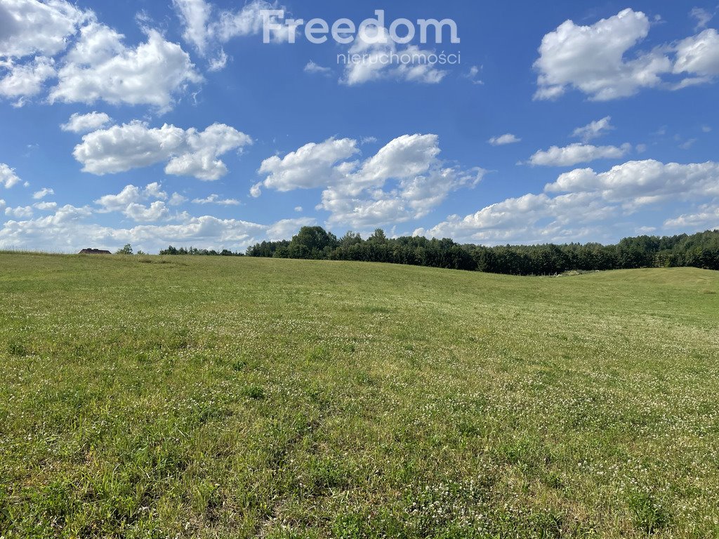 Działka budowlana na sprzedaż Mątki  4 200m2 Foto 3