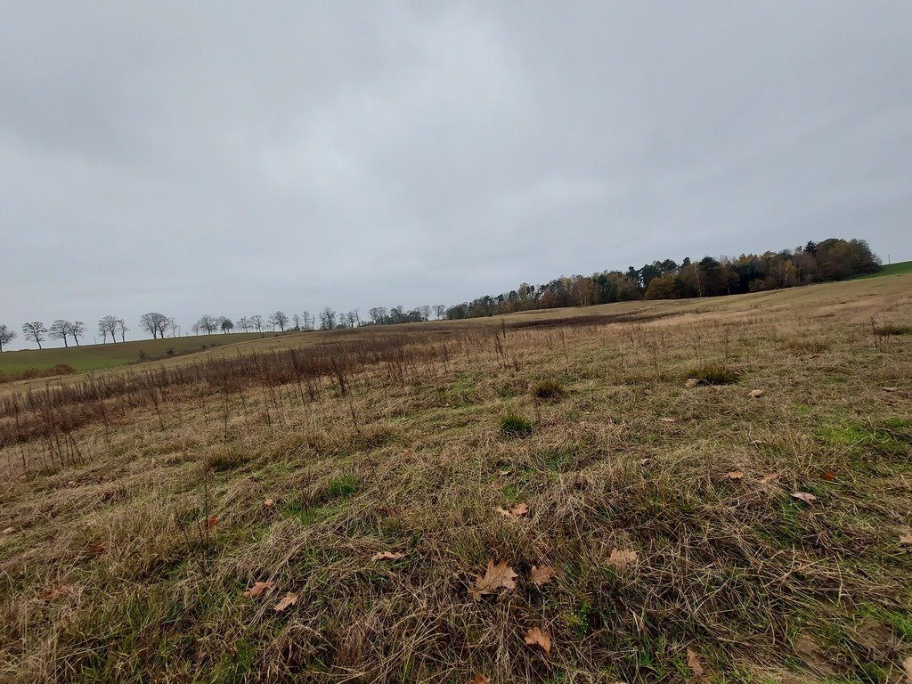 Działka budowlana na sprzedaż Izdebno  1 500m2 Foto 11