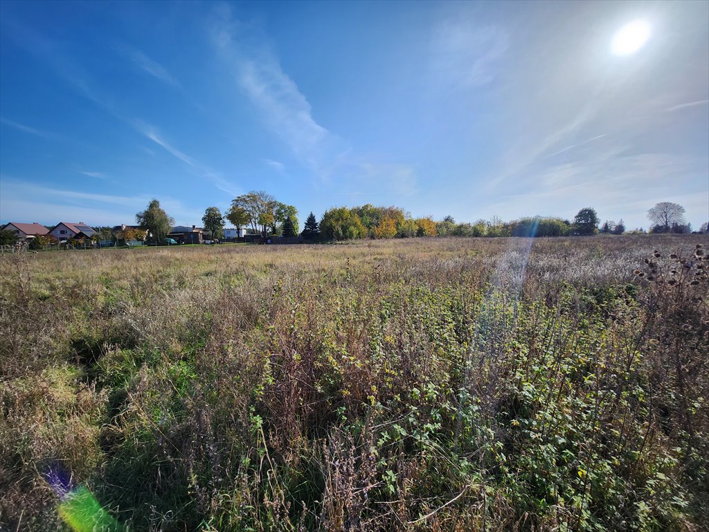 Działka budowlana na sprzedaż Chludowo, Maniewska  1 046m2 Foto 4