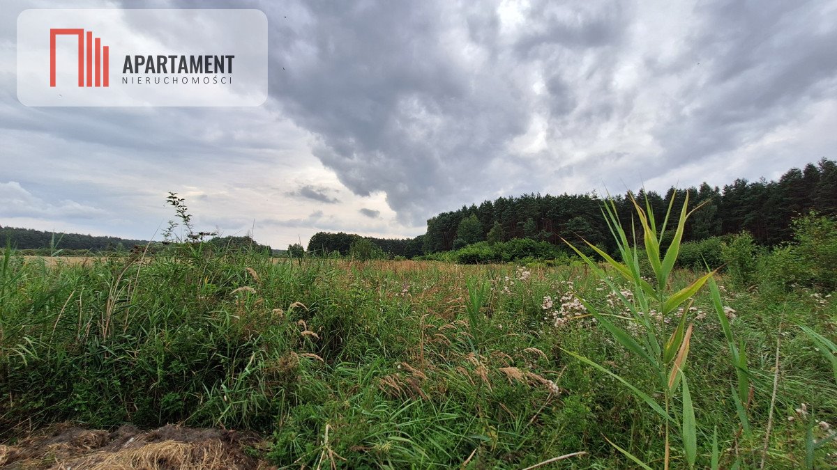 Działka gospodarstwo rolne na sprzedaż Białe Błota  3 014m2 Foto 4