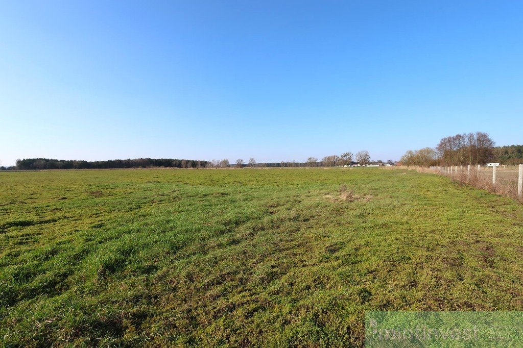 Działka 3000 m² pod zabudowę w Lubczynie, blisko jeziora Lubczyna  3 000m2 Foto 1