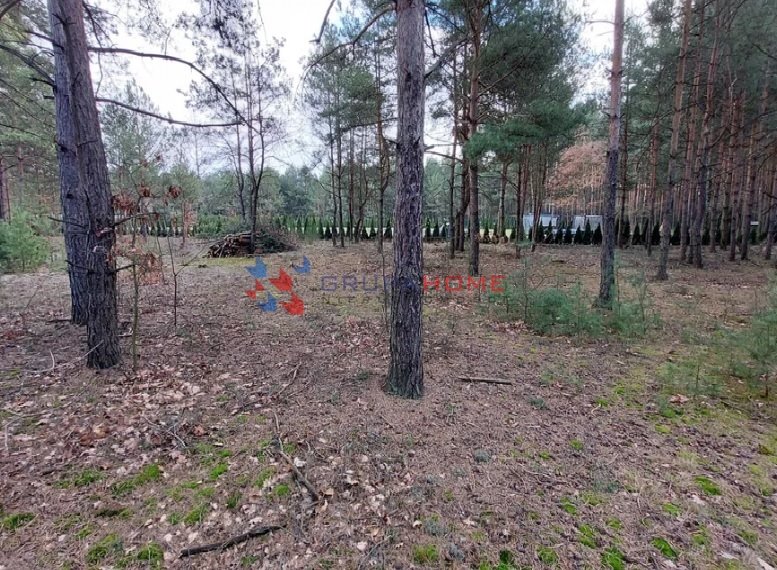 Działka budowlana 700 m² z mediami, las, blisko PKP Góra Kalwaria  800m2 Foto 1