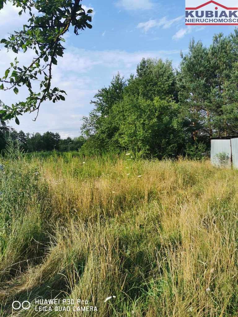 Działka budowlana na sprzedaż Grodzisk Mazowiecki  4 000m2 Foto 2