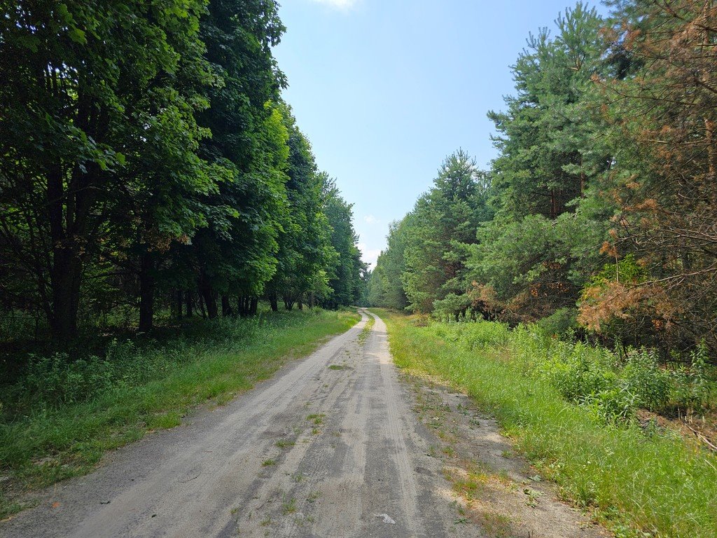 Działka inna na sprzedaż Nowodwór  2 829m2 Foto 13