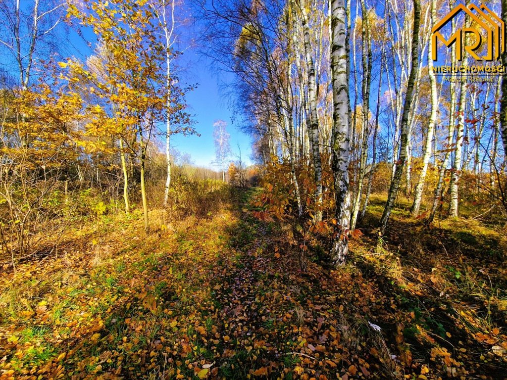 Działka inna na sprzedaż Pogórska Wola  2 389m2 Foto 12