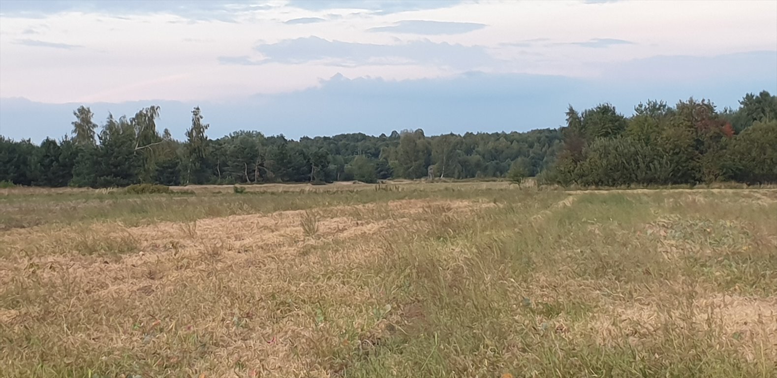 Dom na sprzedaż Skierniewice, Starbacicha-Gajówka  120m2 Foto 5