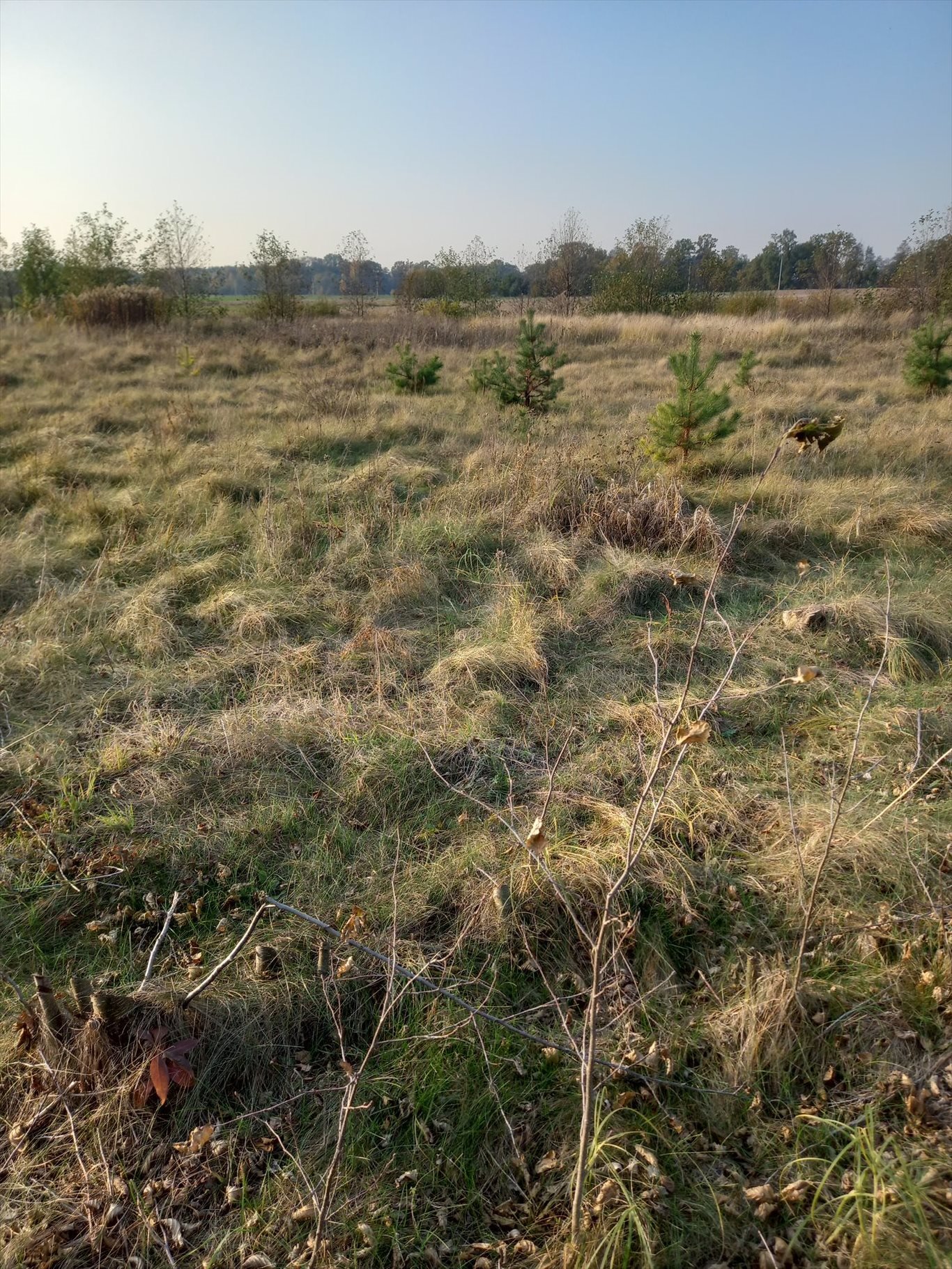 Działka rekreacyjna na sprzedaż Zatory, burlaki, polna  1 000m2 Foto 1