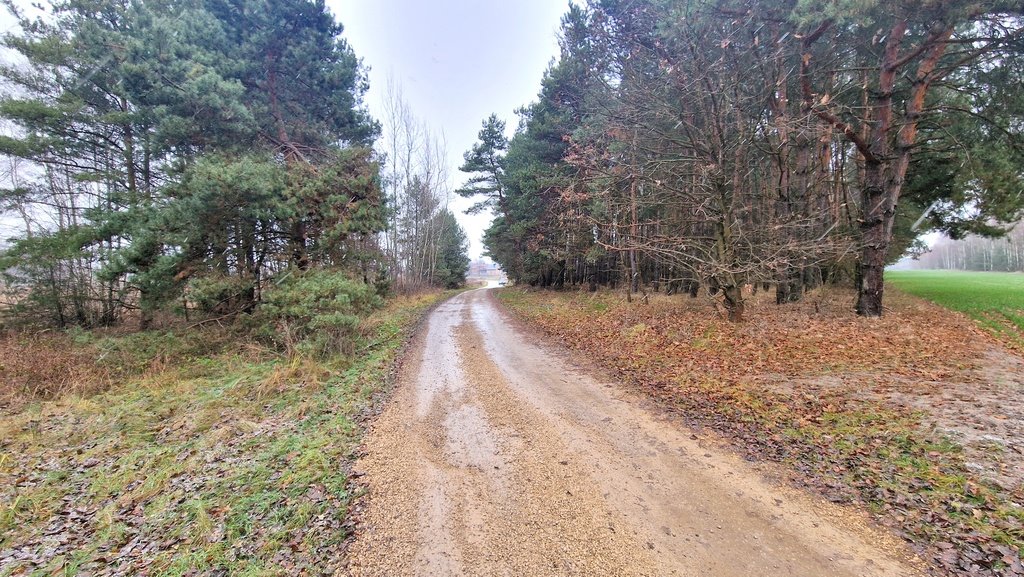 Działka budowlana na sprzedaż Smyków, Prosta  19 000m2 Foto 20