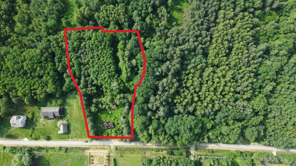 Działka budowlana na sprzedaż Mędrzechów  5 900m2 Foto 1