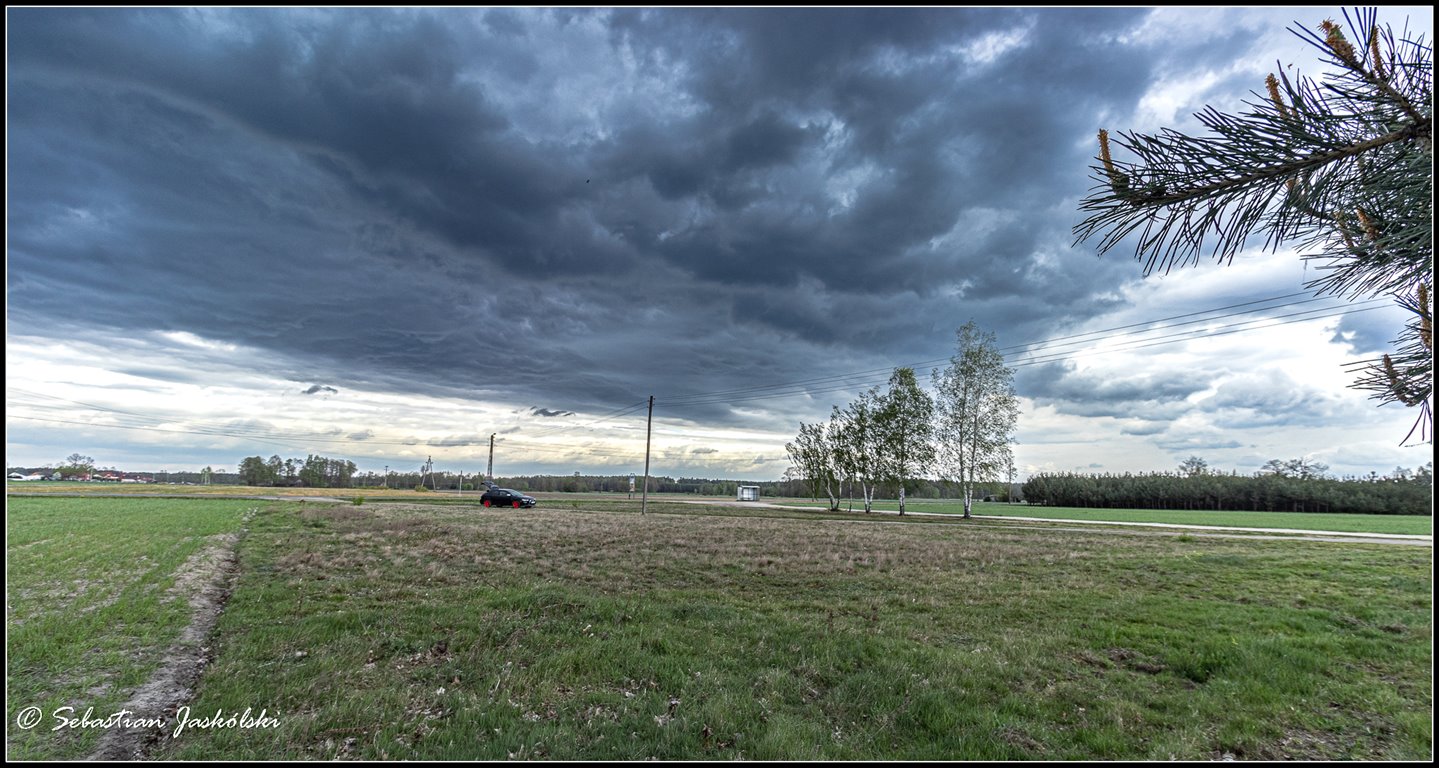 Działka rolna na sprzedaż Bibianna  3 000m2 Foto 8