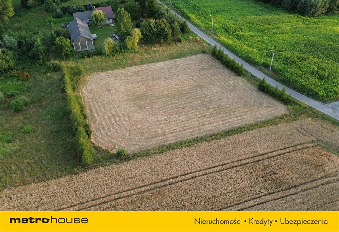 Działka siedliskowa na sprzedaż Cyców-Kolonia Druga  3 000m2 Foto 3