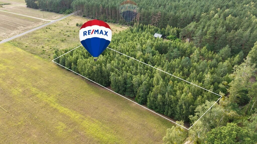 Działka budowlana na sprzedaż Puszcza Rządowa  3 179m2 Foto 1