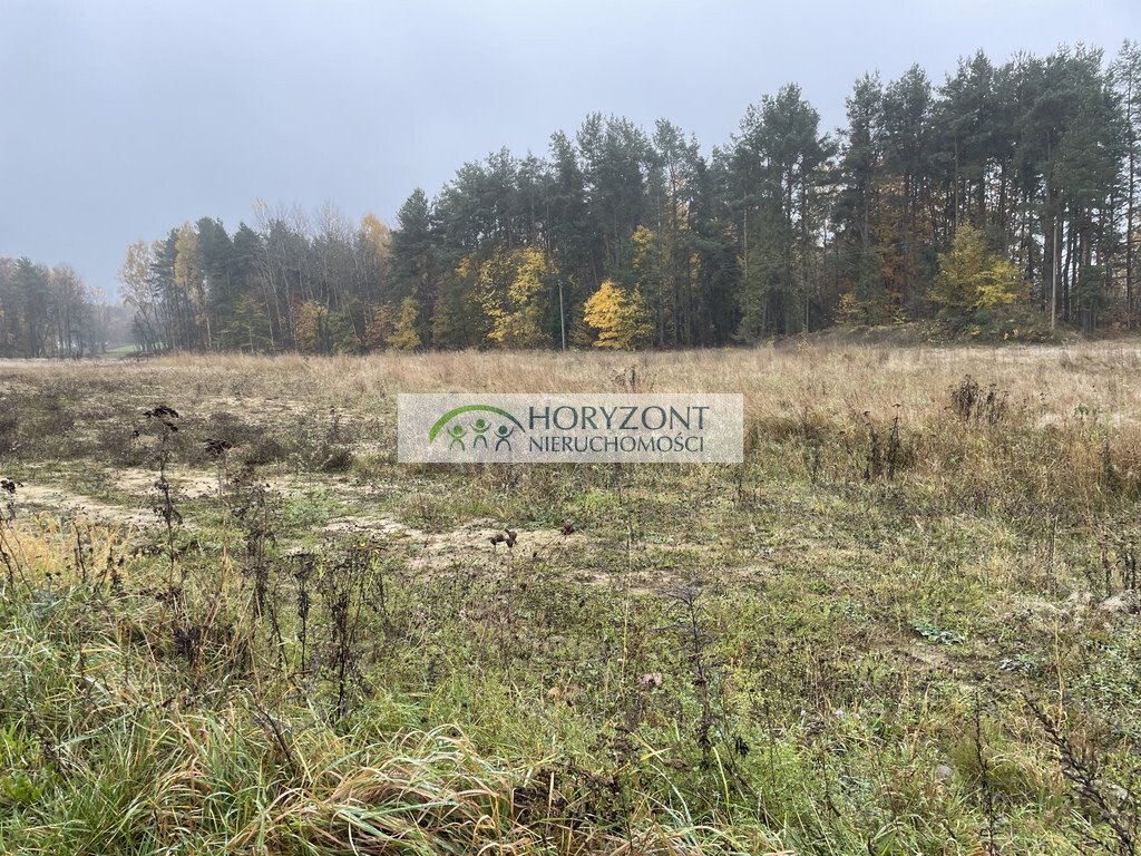 Działka budowlana na sprzedaż Kamień  1 500m2 Foto 1