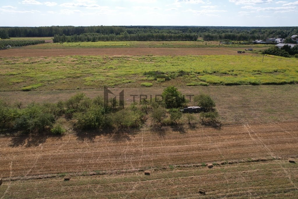 Działka budowlana na sprzedaż Wojciechowice  7 425m2 Foto 4