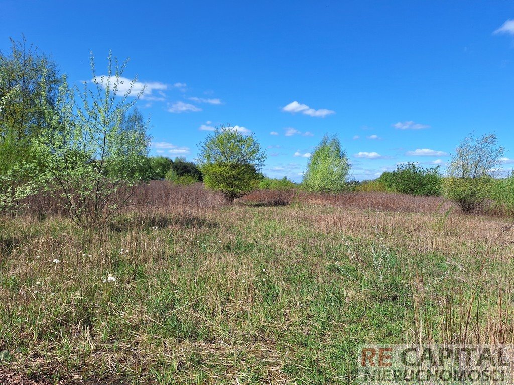 Działka budowlana na sprzedaż Janów  802m2 Foto 1