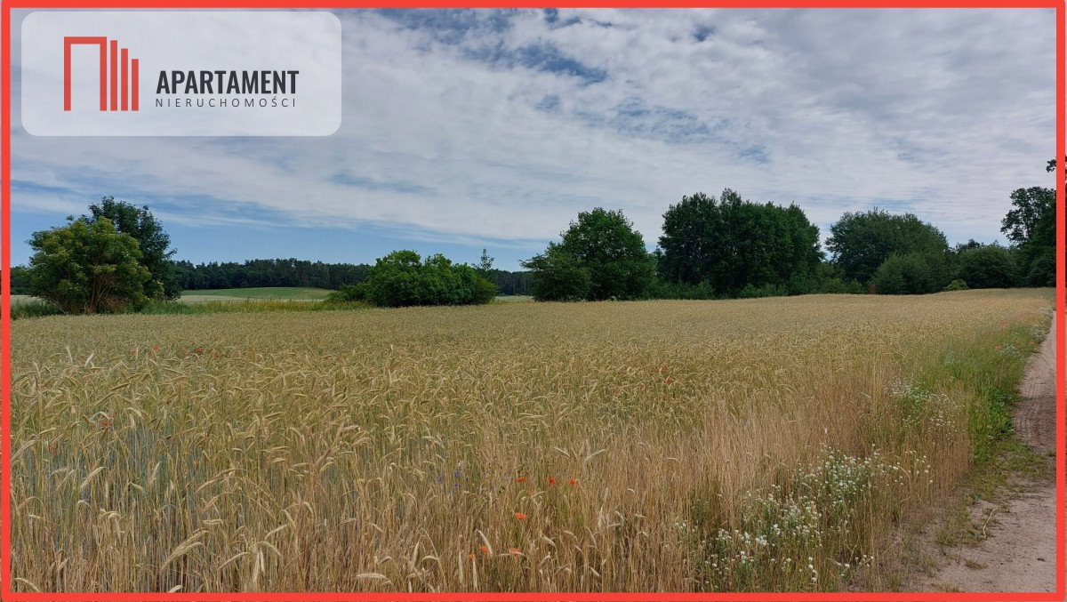 Działka budowlana na sprzedaż Śmiłowo  1 000m2 Foto 4