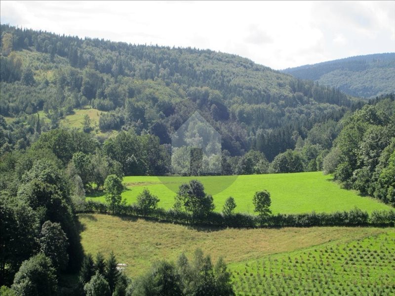 Działka budowlana na sprzedaż Pieszyce, Rościszów 3 000m2 Foto 1 Działka budowlana na sprzedaż Pieszyce, Rościszów 3 000m2 Foto 1
