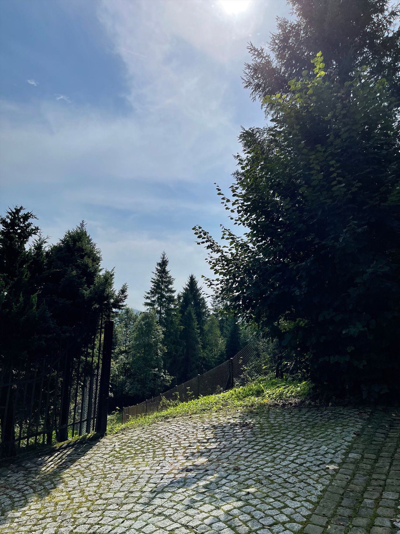 Działka budowlana na sprzedaż Wisła, Wisła  2 750m2 Foto 5