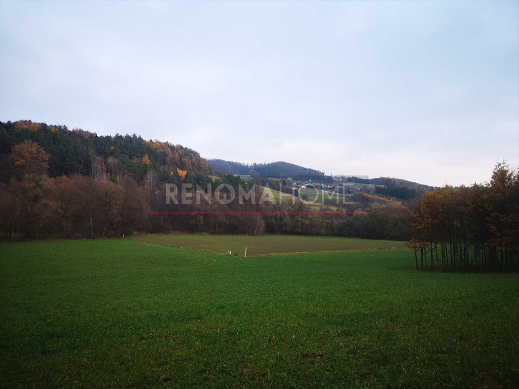 Działka budowlana na sprzedaż Święcko, Huberek  1 600m2 Foto 6