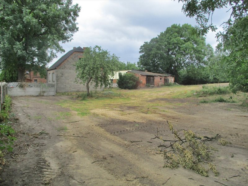 Działka budowlana na sprzedaż Poznań, Strzeszyn, Psarskie, Koszalińska 5 000m2 Foto 1 Działka budowlana na sprzedaż Poznań, Strzeszyn, Psarskie, Koszalińska 5 000m2 Foto 1