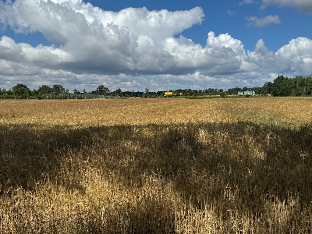 Działka budowlana na sprzedaż Wrocław, Ratyń, Ratyń, Wojska Polskiego  16 796m2 Foto 6