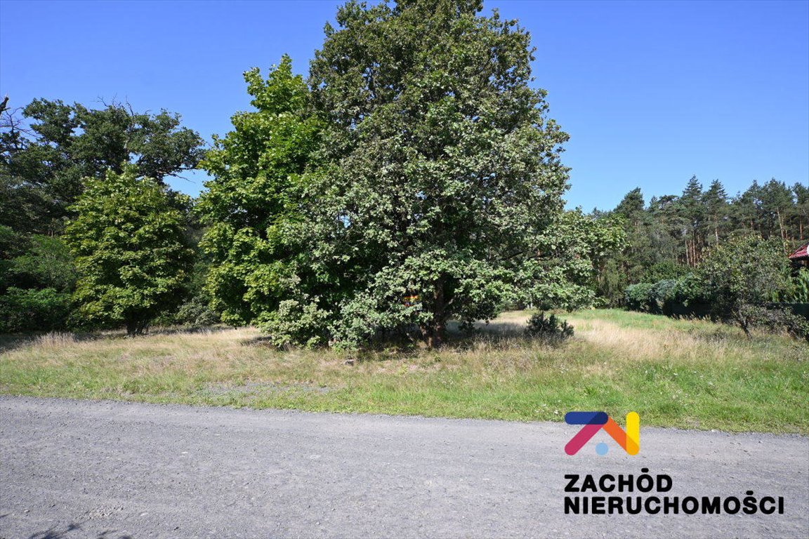 Działka budowlana na sprzedaż Niwiska  2 714m2 Foto 1