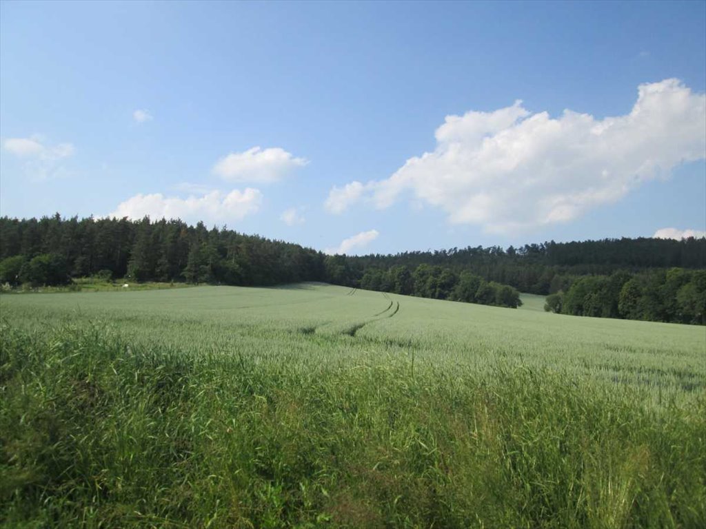 Działka inna na sprzedaż Dzierżoniów  4 700m2 Foto 1