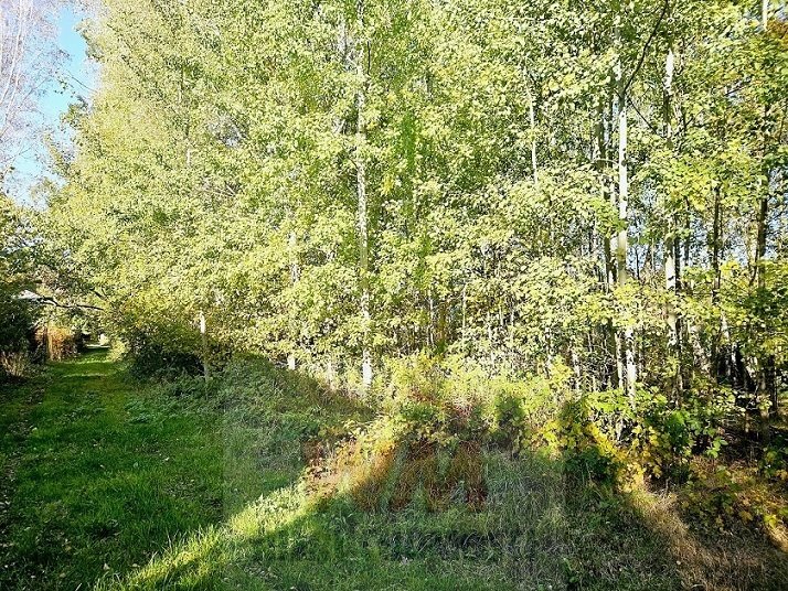 Działka budowlana na sprzedaż Chynów  9 600m2 Foto 2