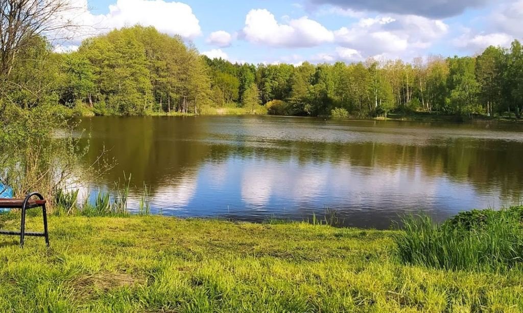 Działka budowlana na sprzedaż Gortatowo, Nad Cybiną  1 182m2 Foto 7