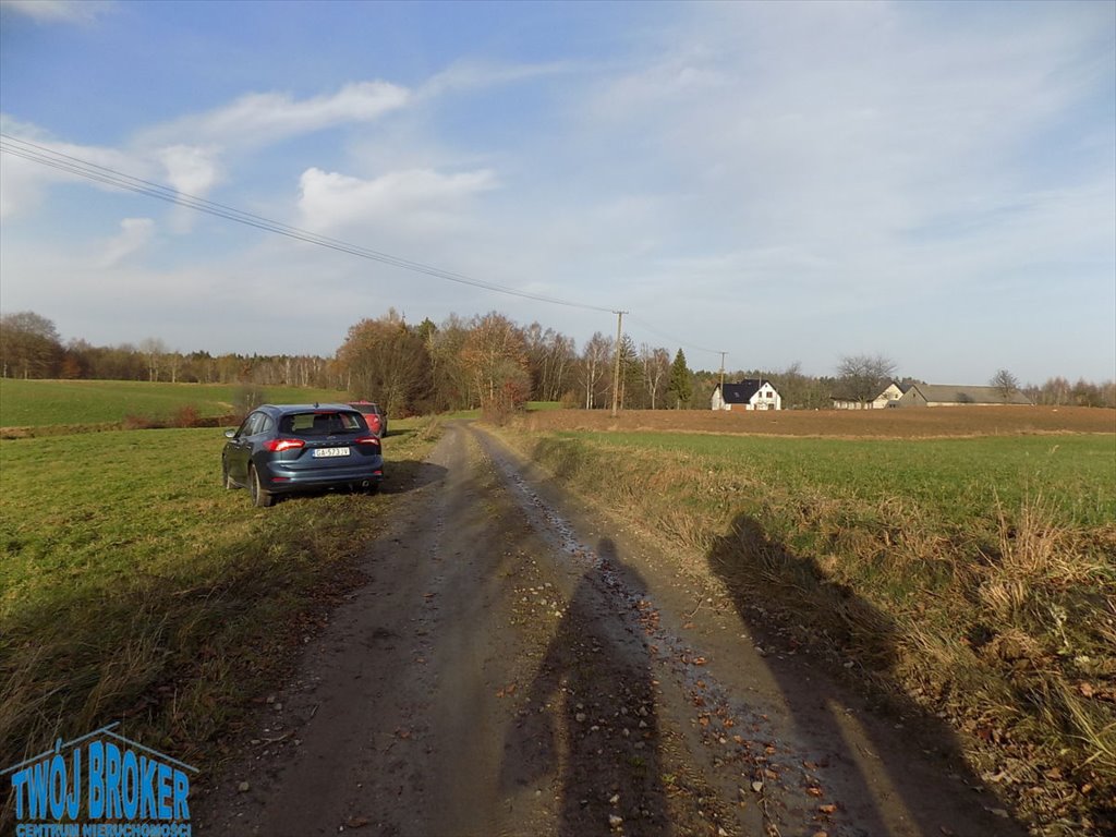 Działka budowlana na sprzedaż Pomieczyńska Huta  1 100m2 Foto 5