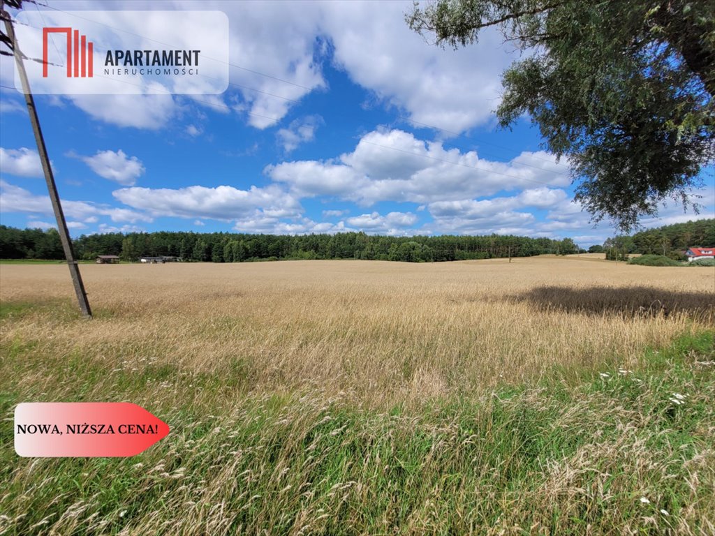 Działka gospodarstwo rolne na sprzedaż Skorzewo  3 000m2 Foto 7