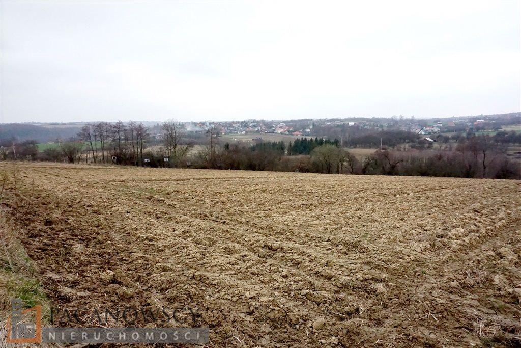 Działka rolna na sprzedaż Januszowice 10 200m2 Foto 1 Działka rolna na sprzedaż Januszowice 10 200m2 Foto 1