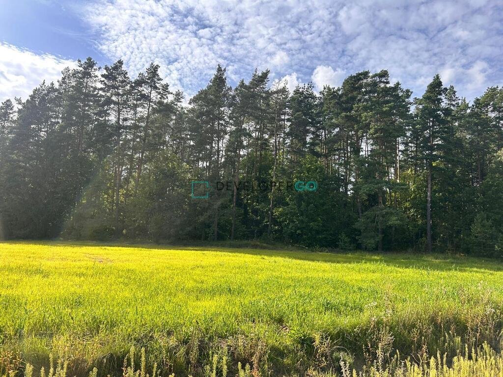Działka budowlana 2200 m² z pozwoleniem na dom w Szczebrze Szczebra, 18c  2 200m2 Foto 1