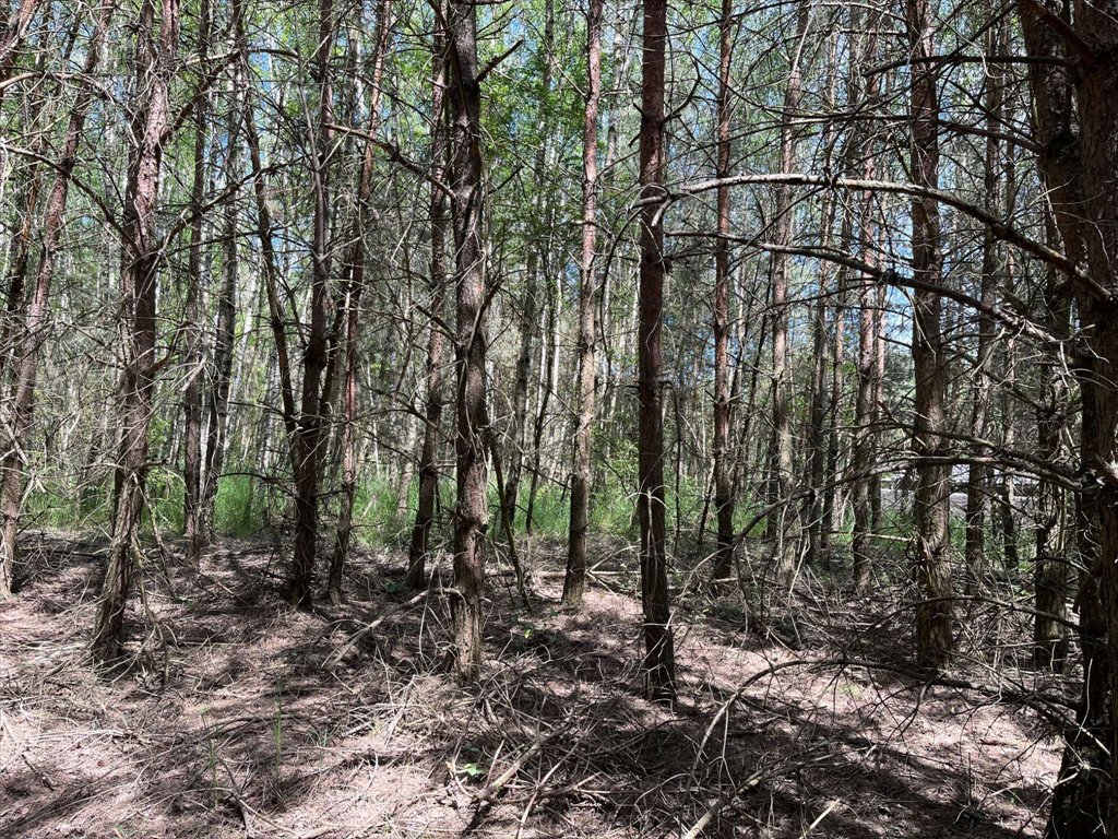 Działka budowlana na sprzedaż Stęszewko, Stęszewko, Wiejska  1 043m2 Foto 11