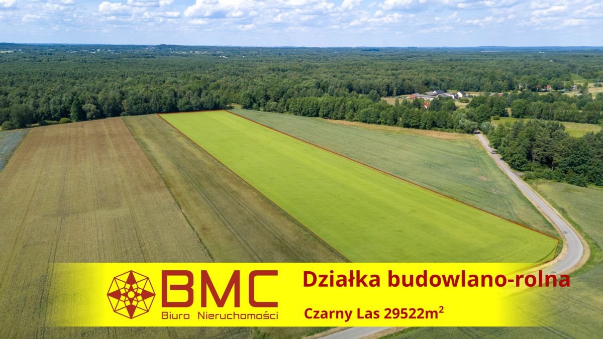 Działka budowlana na sprzedaż Woźniki, Czarny Las, Czarny Las  29 522m2 Foto 1