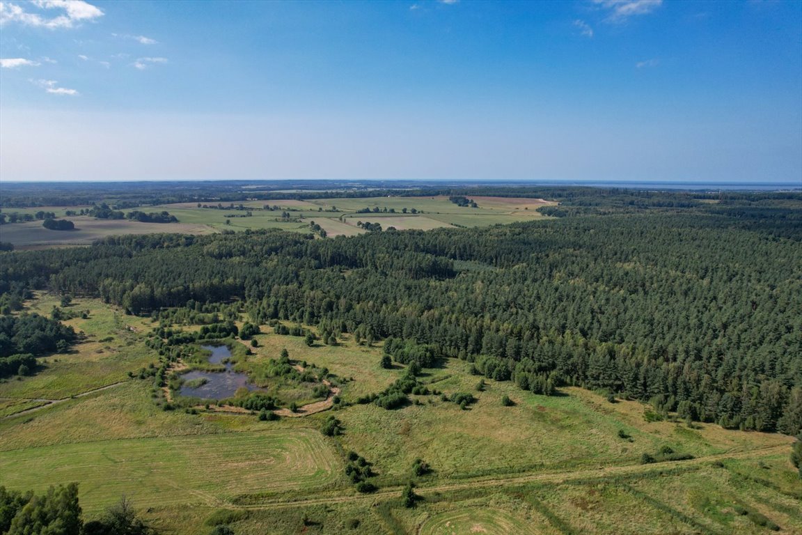 Działka budowlana na sprzedaż Lękwica, Lękwica  10 200m2 Foto 5